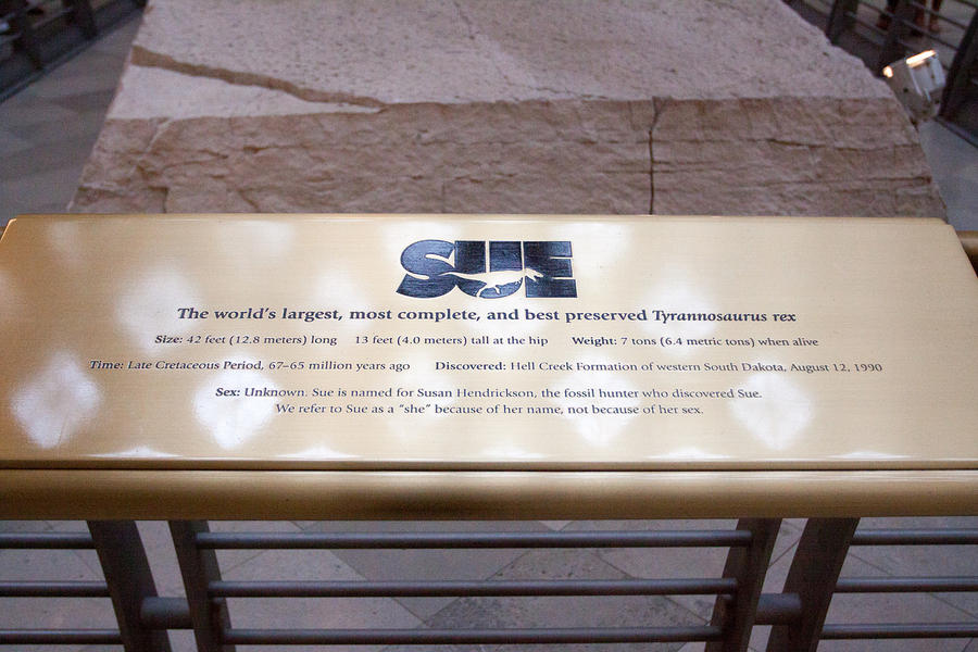 IMG-1581