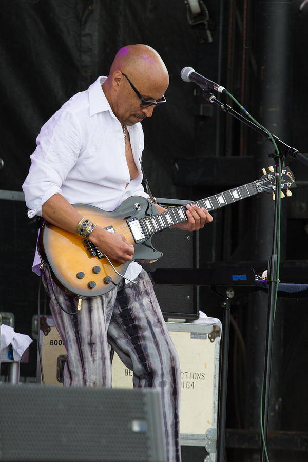 Renard Poché