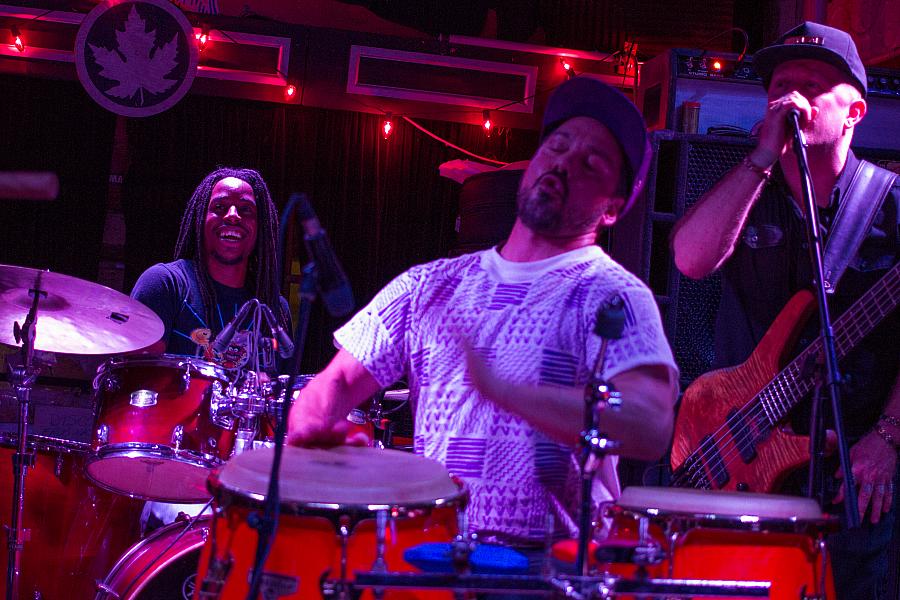 Walter, Luke, and Bru