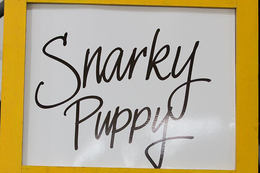 Snarky Puppy