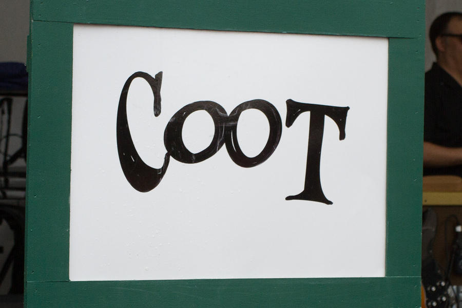 Coot