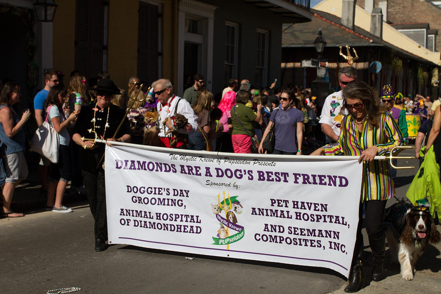 IMG-6742