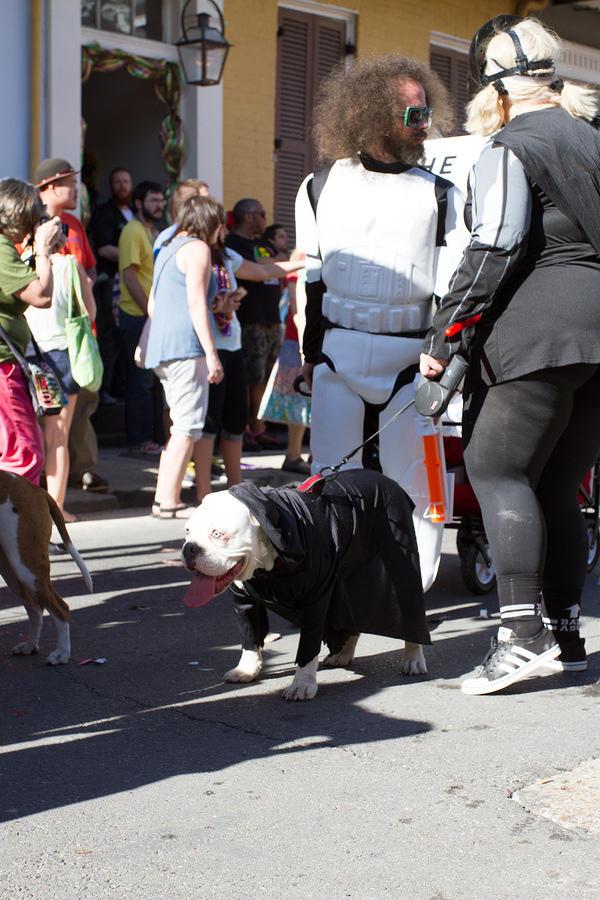 IMG-6816