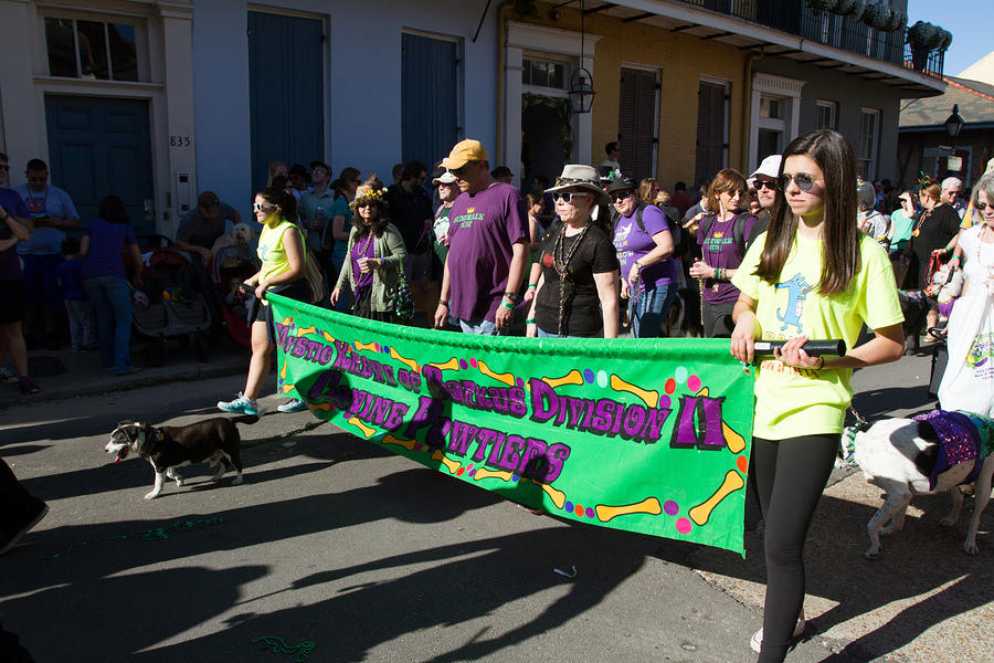 IMG-6880