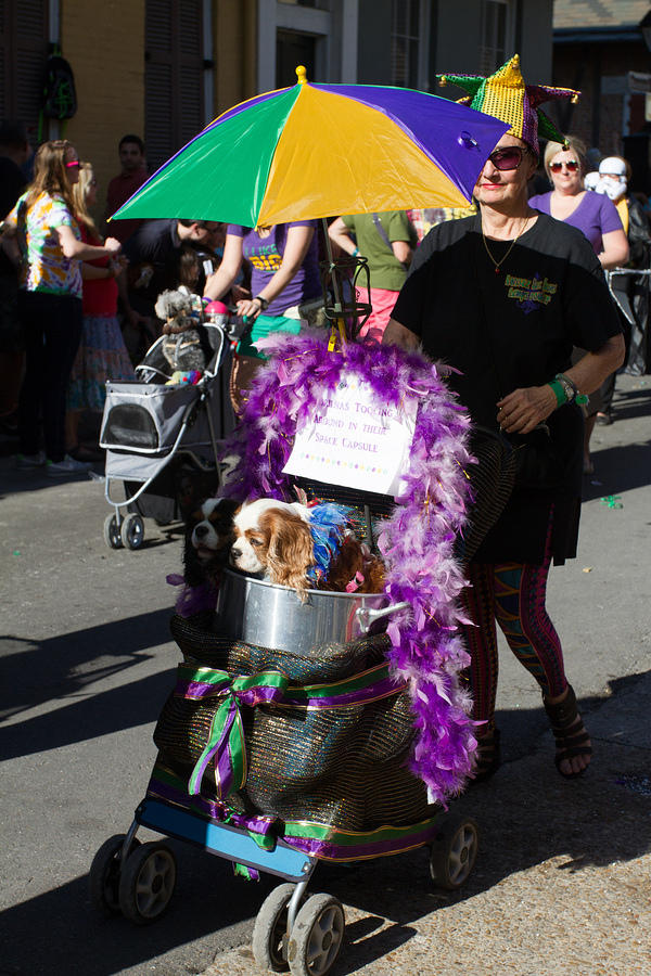 IMG-6886