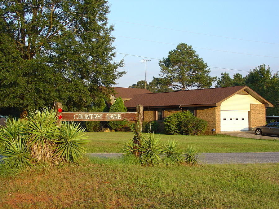 Country Lane