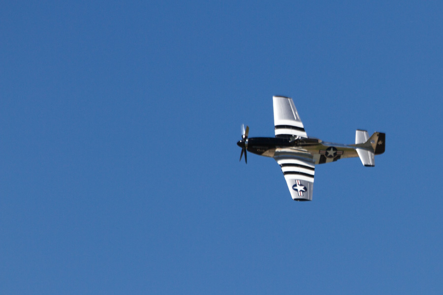 Quicksilver P-51 Mustang
