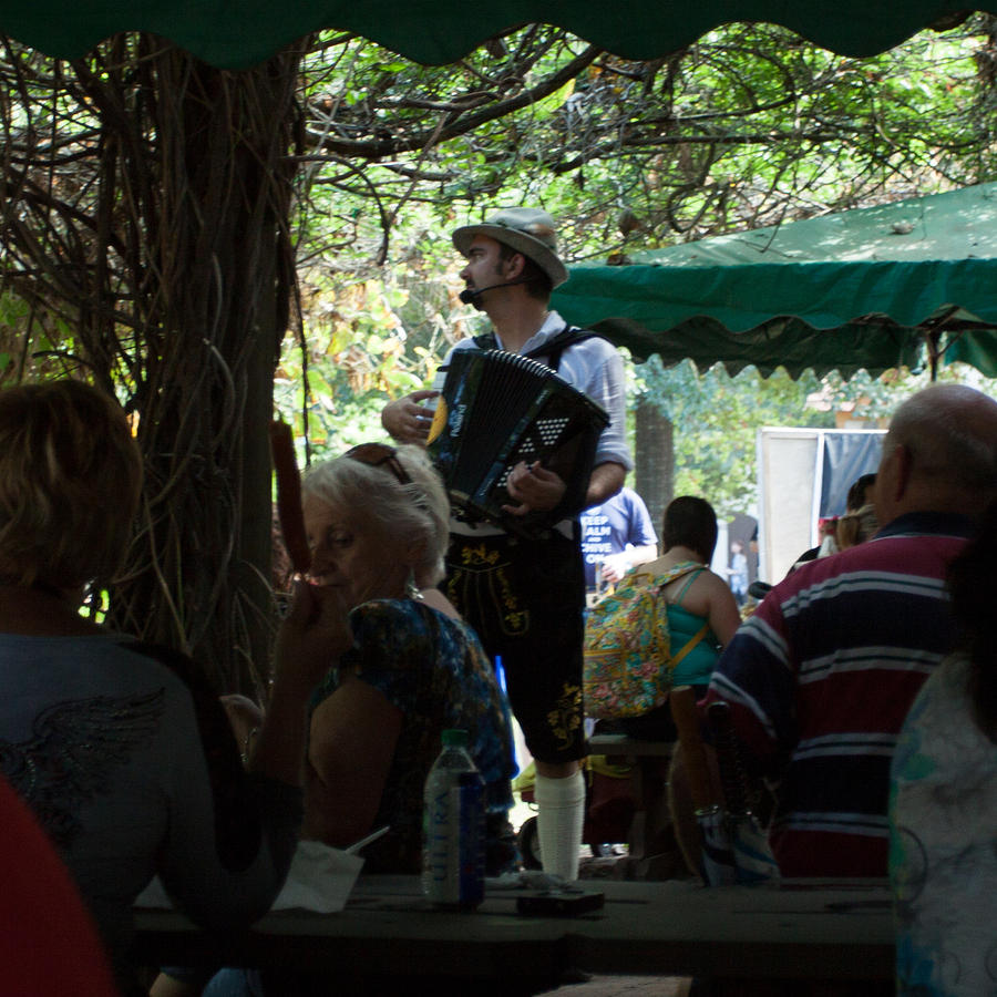 Music at The Arborhaus