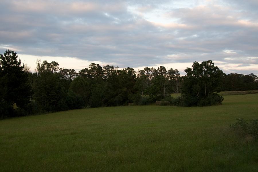 IMG_8627