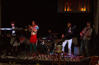 IMG-7816