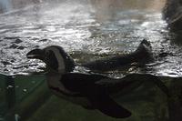 IMG_7898