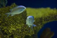 IMG_7909