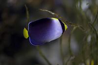 IMG_8109