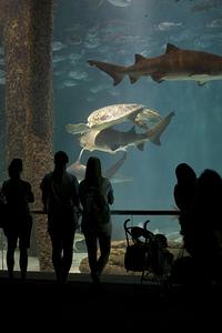 IMG_8281