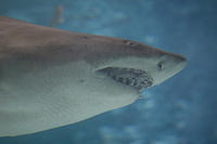 IMG_8290