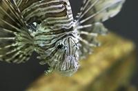 CRW_4795