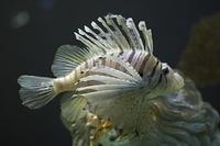 CRW_4809