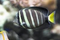 CRW_4825