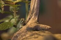 CRW_4833