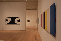 IMG-1528