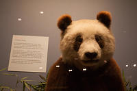 IMG-1568