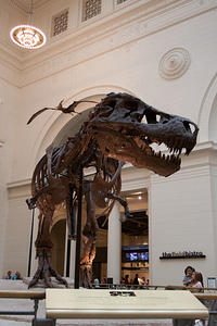 IMG-1572
