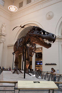 IMG-1578