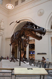 IMG-1579