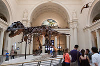 IMG-1587