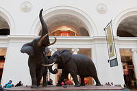 IMG-1610