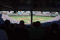 IMG-1704