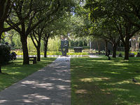 IMG-1964