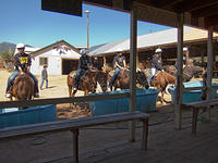 IMG-0931