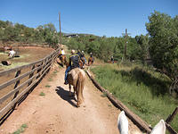 IMG-0934