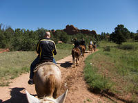 IMG-0953