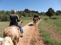 IMG-0956