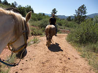 IMG-0979