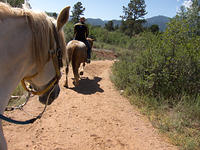IMG-0981