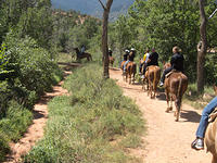 IMG-0984