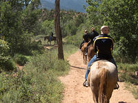IMG-0988