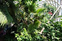 DSC04455