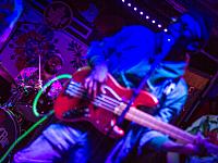 IMG 4611