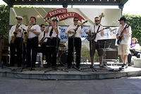 IMG-9337