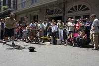 IMG-0115