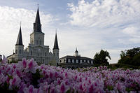IMG-0895