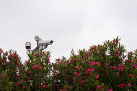 IMG-8378