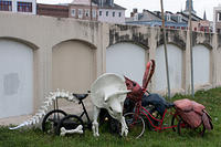 IMG-8745