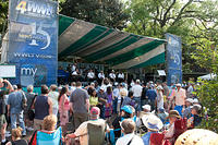 IMG-9554