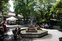 IMG-9931