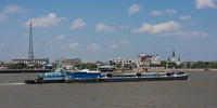 IMG-8278